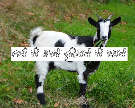 Goat story for kids in hindi